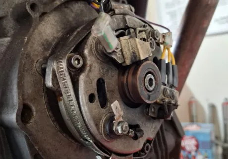 Alternator stator needed for a 1976 T3.